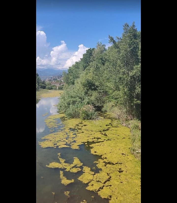 Casa Jasmine Otel Camporosso  Dış mekan fotoğraf