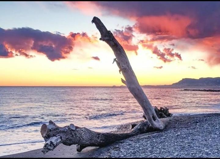 Casa Jasmine Otel Camporosso  Dış mekan fotoğraf